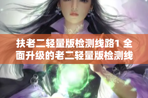扶老二轻量版检测线路1 全面升级的老二轻量版检测线路1来啦，让您的生活更便捷、更快捷！