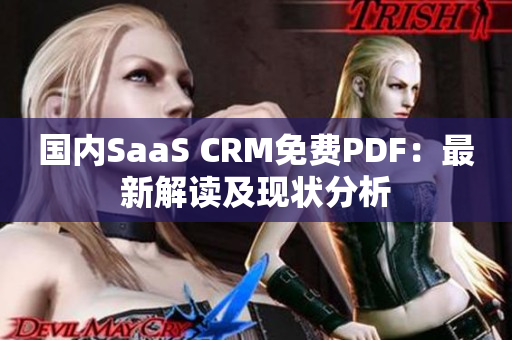 国内SaaS CRM免费PDF：最新解读及现状分析