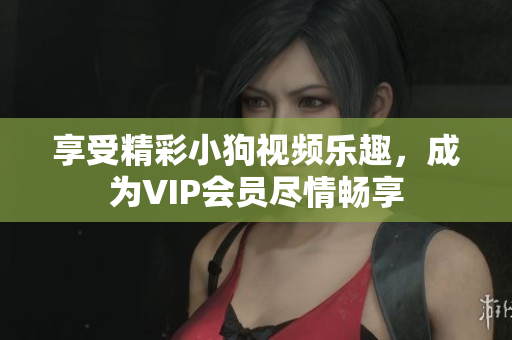 享受精彩小狗视频乐趣，成为VIP会员尽情畅享