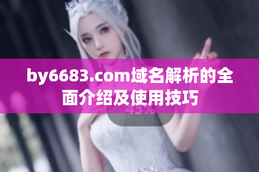 by6683.com域名解析的全面介绍及使用技巧