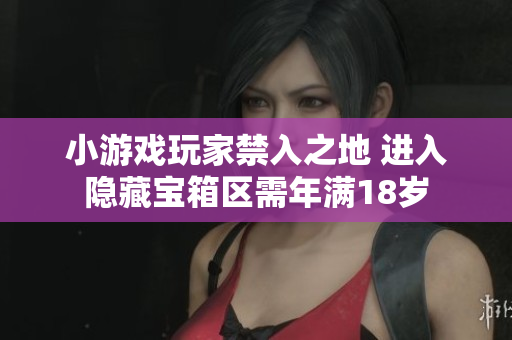 小游戏玩家禁入之地 进入隐藏宝箱区需年满18岁