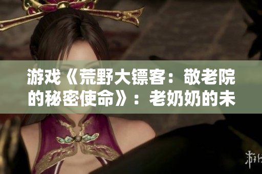 游戏《荒野大镖客：敬老院的秘密使命》：老奶奶的未来与复仇