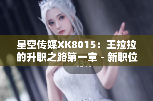 星空传媒XK8015：王拉拉的升职之路第一章 - 新职位的挑战与机遇