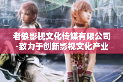 老狼影视文化传媒有限公司-致力于创新影视文化产业发展