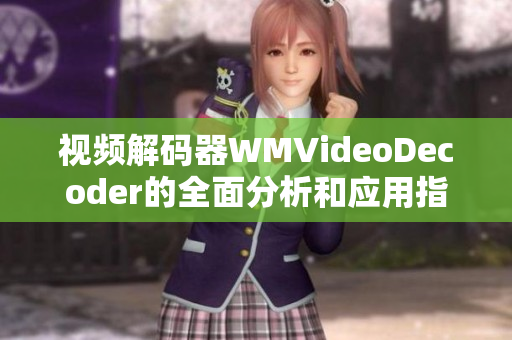 视频解码器WMVideoDecoder的全面分析和应用指南