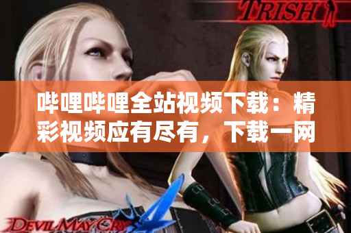 哔哩哔哩全站视频下载：精彩视频应有尽有，下载一网打尽