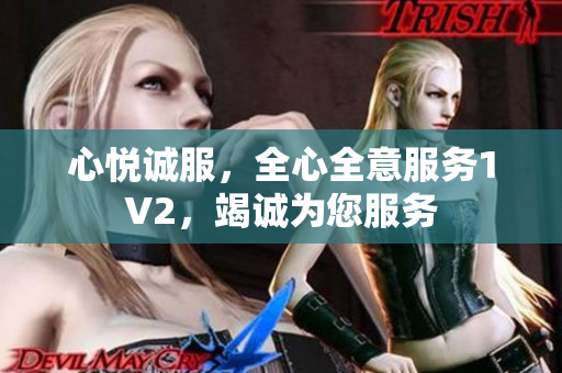 心悦诚服，全心全意服务1V2，竭诚为您服务