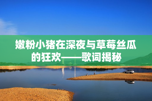 嫩粉小猪在深夜与草莓丝瓜的狂欢——歌词揭秘