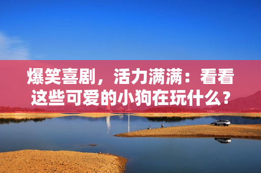 爆笑喜剧，活力满满：看看这些可爱的小狗在玩什么？