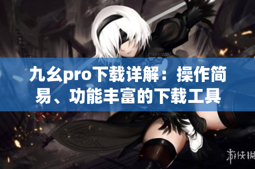 九幺pro下载详解：操作简易、功能丰富的下载工具