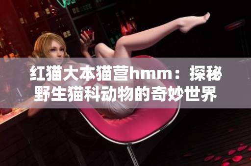 红猫大本猫营hmm：探秘野生猫科动物的奇妙世界