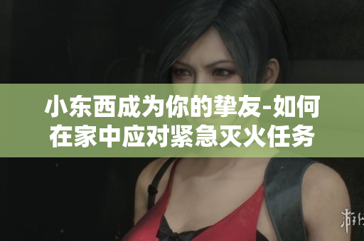 小东西成为你的挚友-如何在家中应对紧急灭火任务
