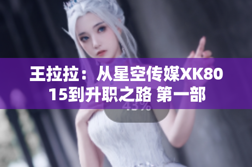 王拉拉：从星空传媒XK8015到升职之路 第一部