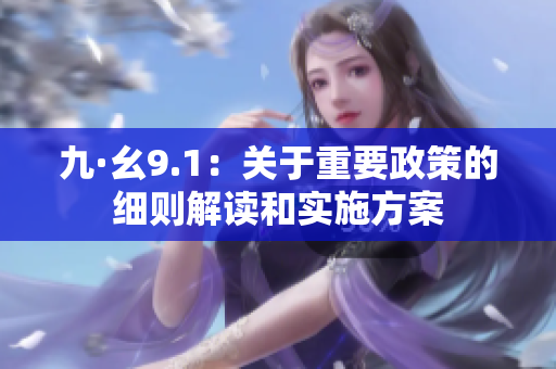 九·幺9.1：关于重要政策的细则解读和实施方案